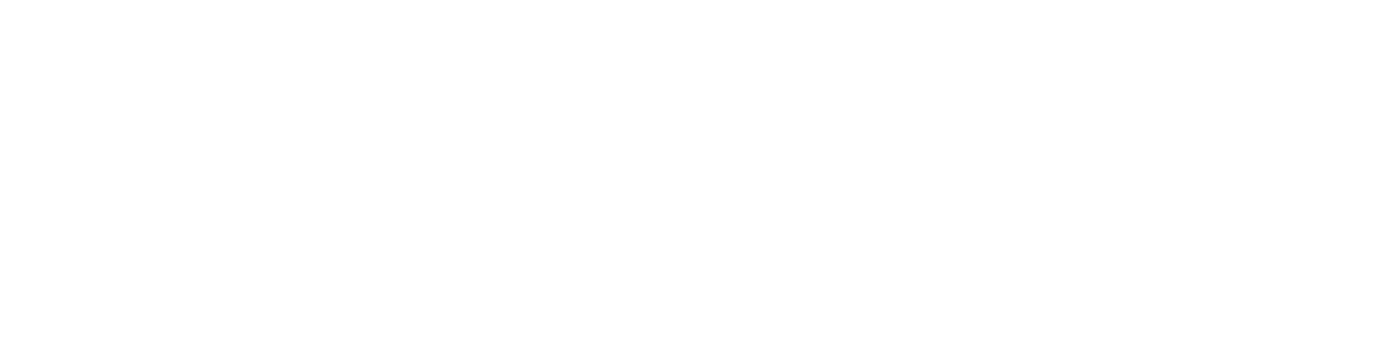 LEVEN LOGO WHITE